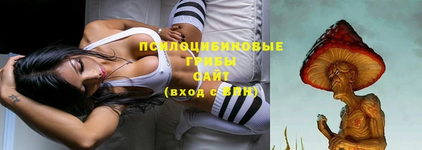 круглые Арсеньев