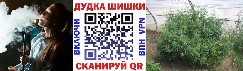 Канабис индика  Пустошка 